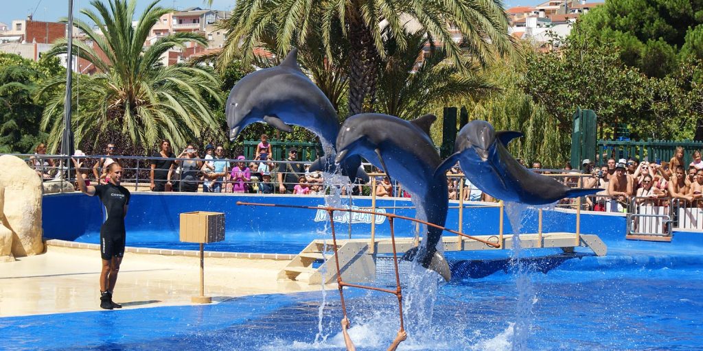 4-parque-acuatico-Marineland-Catalunya
