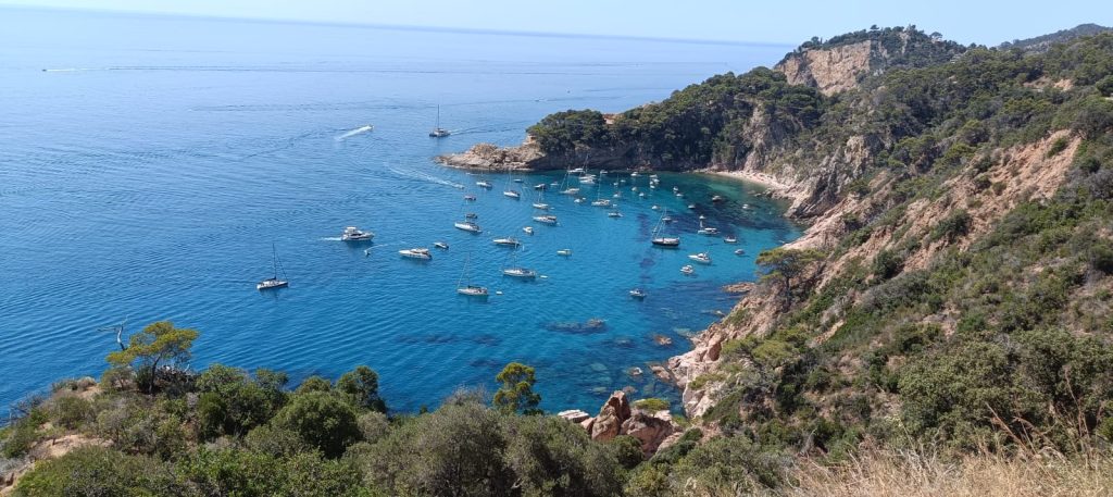 Imagen de WhatsApp 2025-07-25 a las 13.08.37_3f4bb4e3